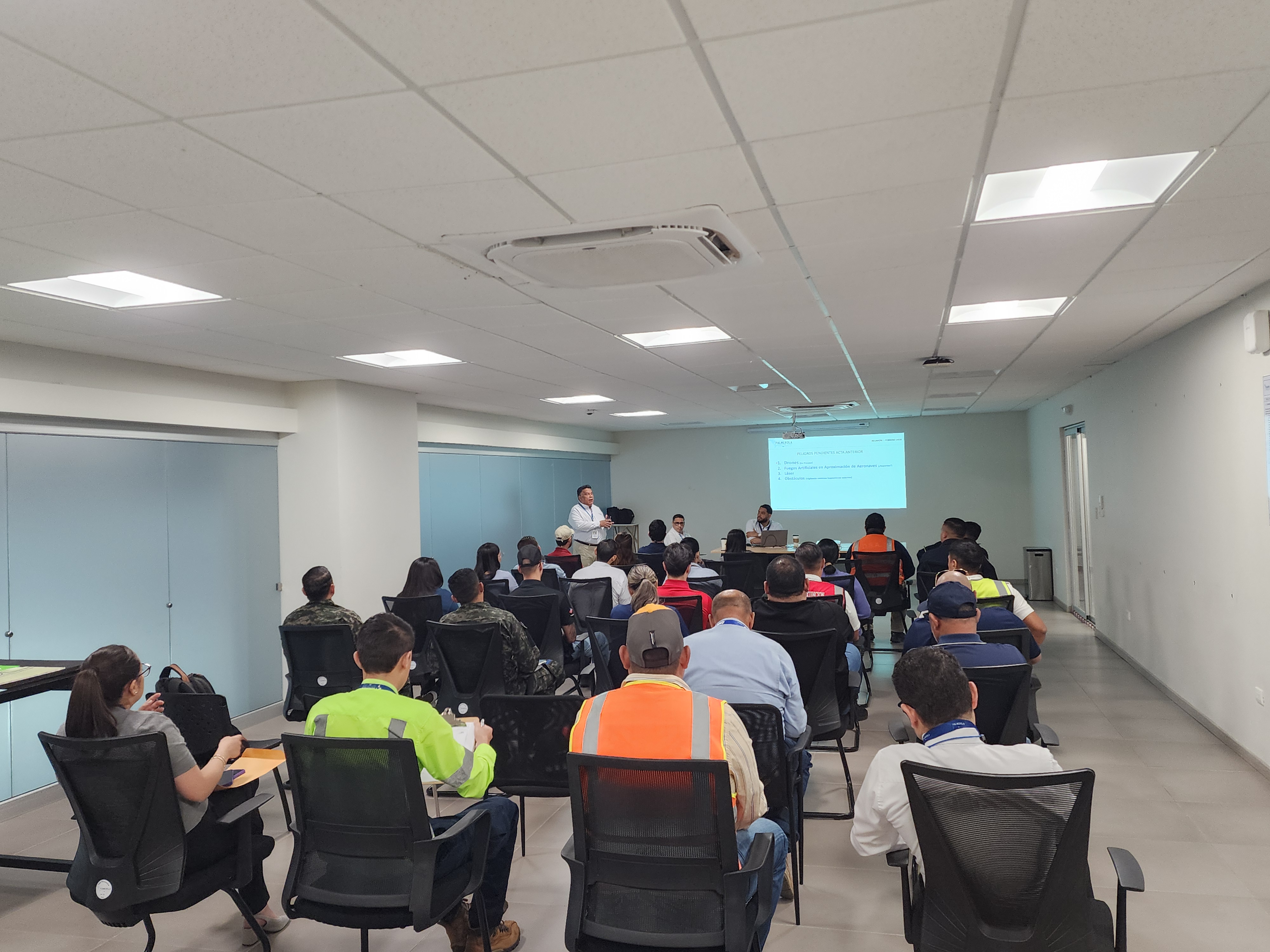 Noticias-Aeropuerto-Tegucigalpa-Honduras-Toncontín-Comité de Seguridad Operacional/RST/Peligro Aviario y Fauna